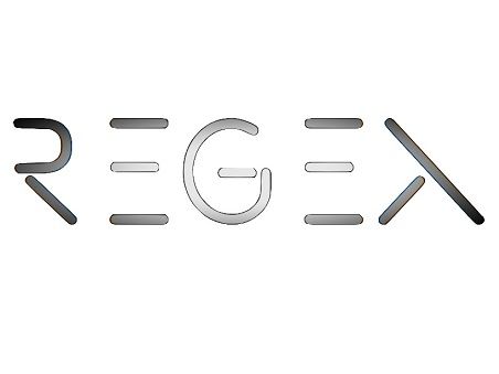Text processing processor GRegeX